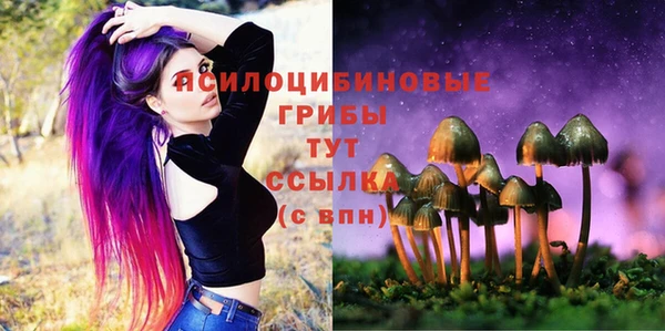 марки lsd Аркадак