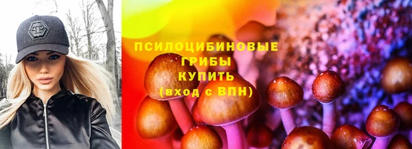 бошки Арсеньев