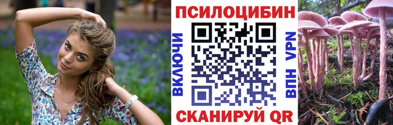 где продают наркотики  Унеча  Галлюциногенные грибы GOLDEN TEACHER 